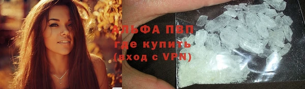 стафф Аркадак