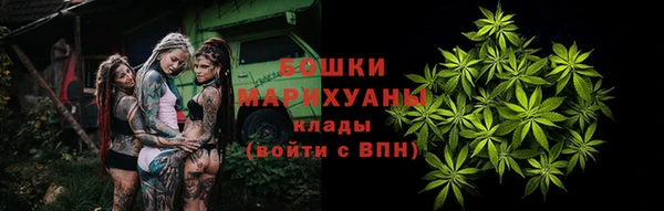 стафф Аркадак