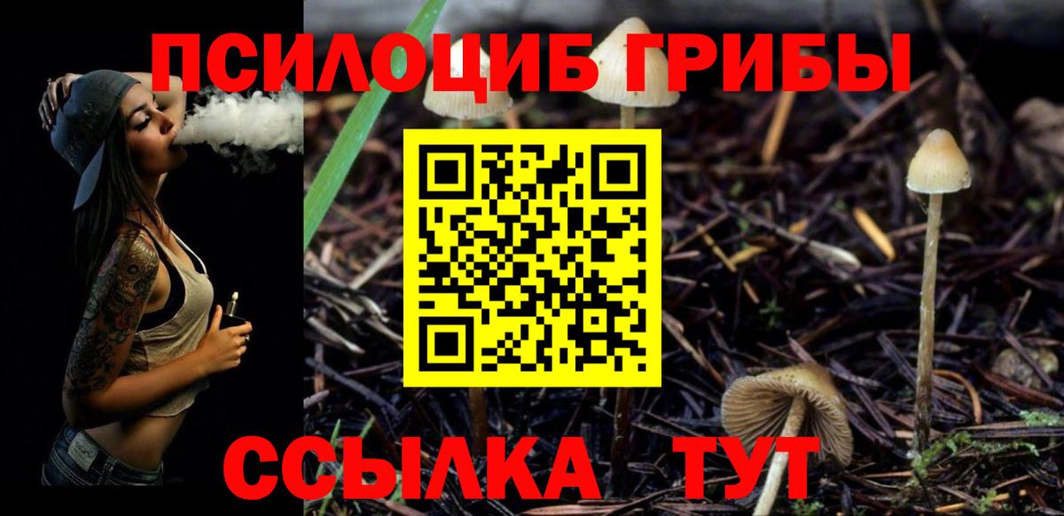 Галлюциногенные грибы Psilocybine cubensis Белово
