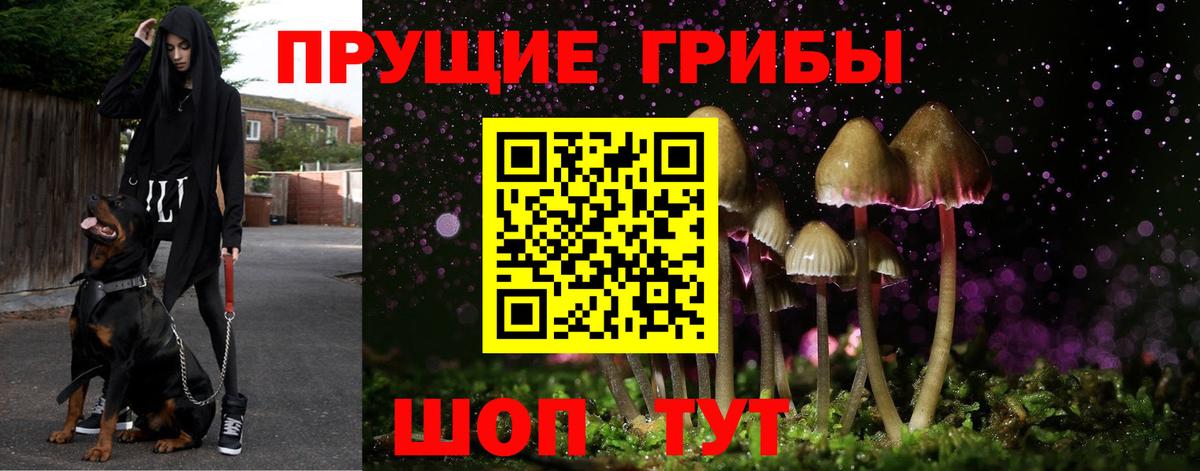Галлюциногенные грибы MAGIC MUSHROOMS  Вход с VPN  Белово 